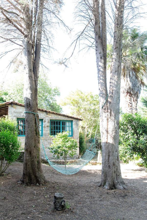 Neiva River House - Azenha Next To The River Esposende Exterior photo