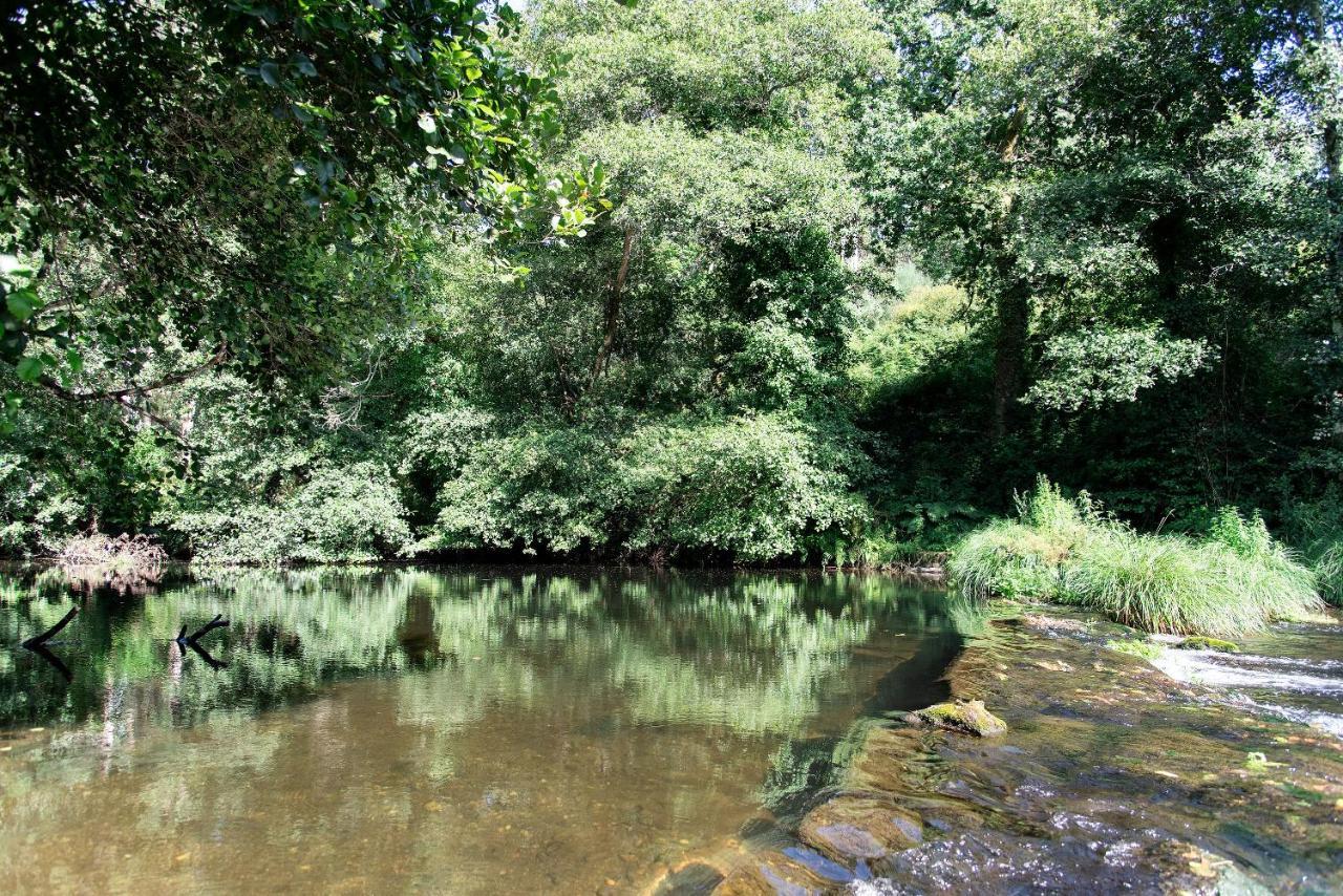 Neiva River House - Azenha Next To The River Esposende Exterior photo